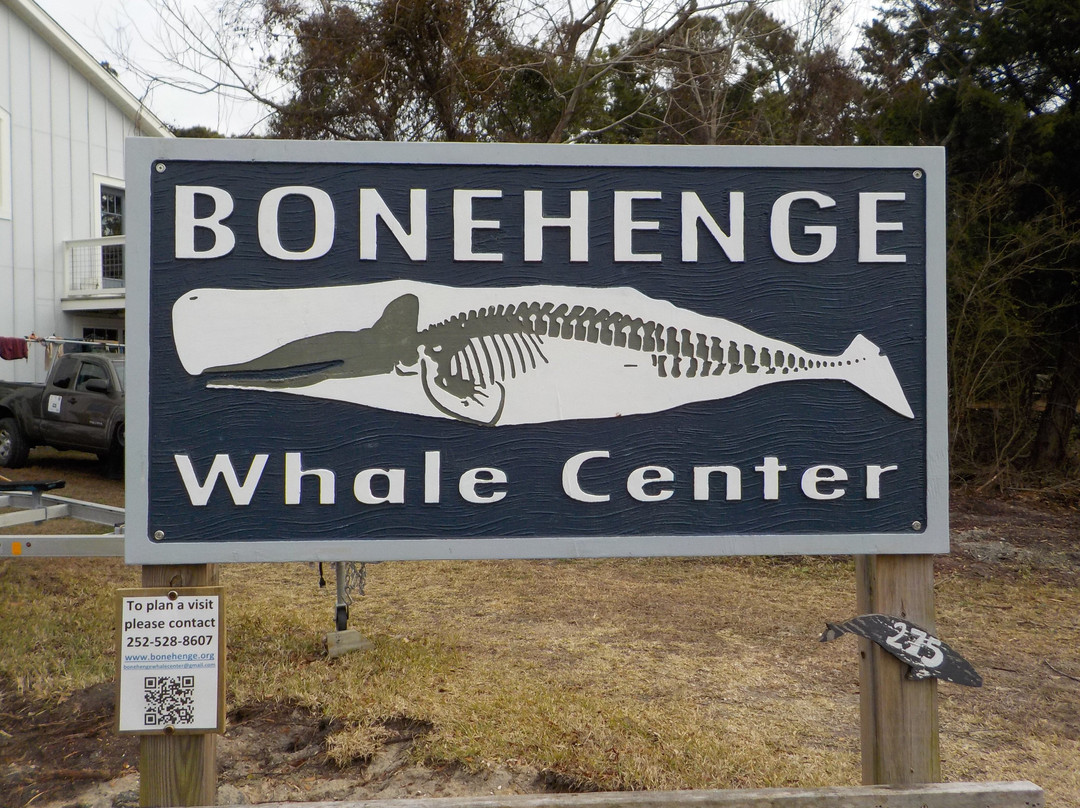 Bonehenge Whale Center景点图片