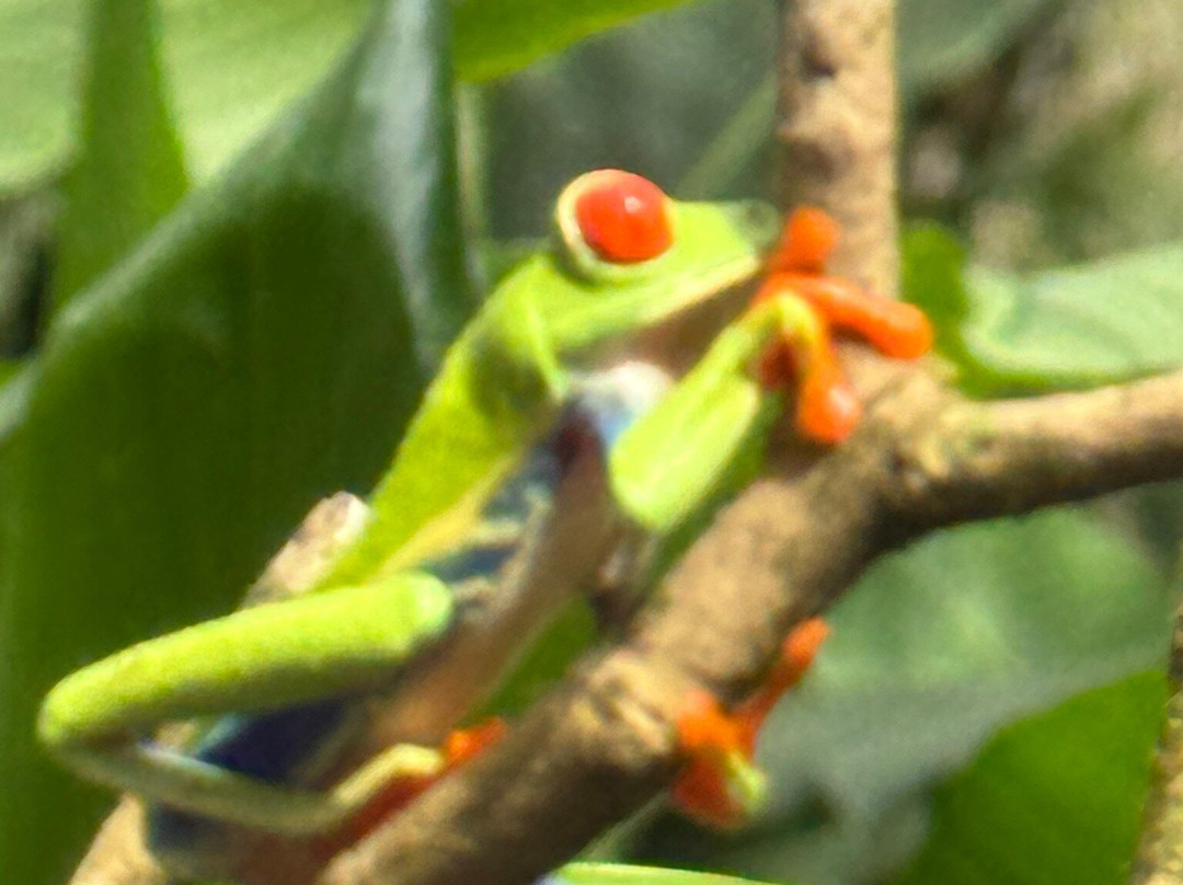 Jairo Tours In Costa Rica-El Jobo必去景点