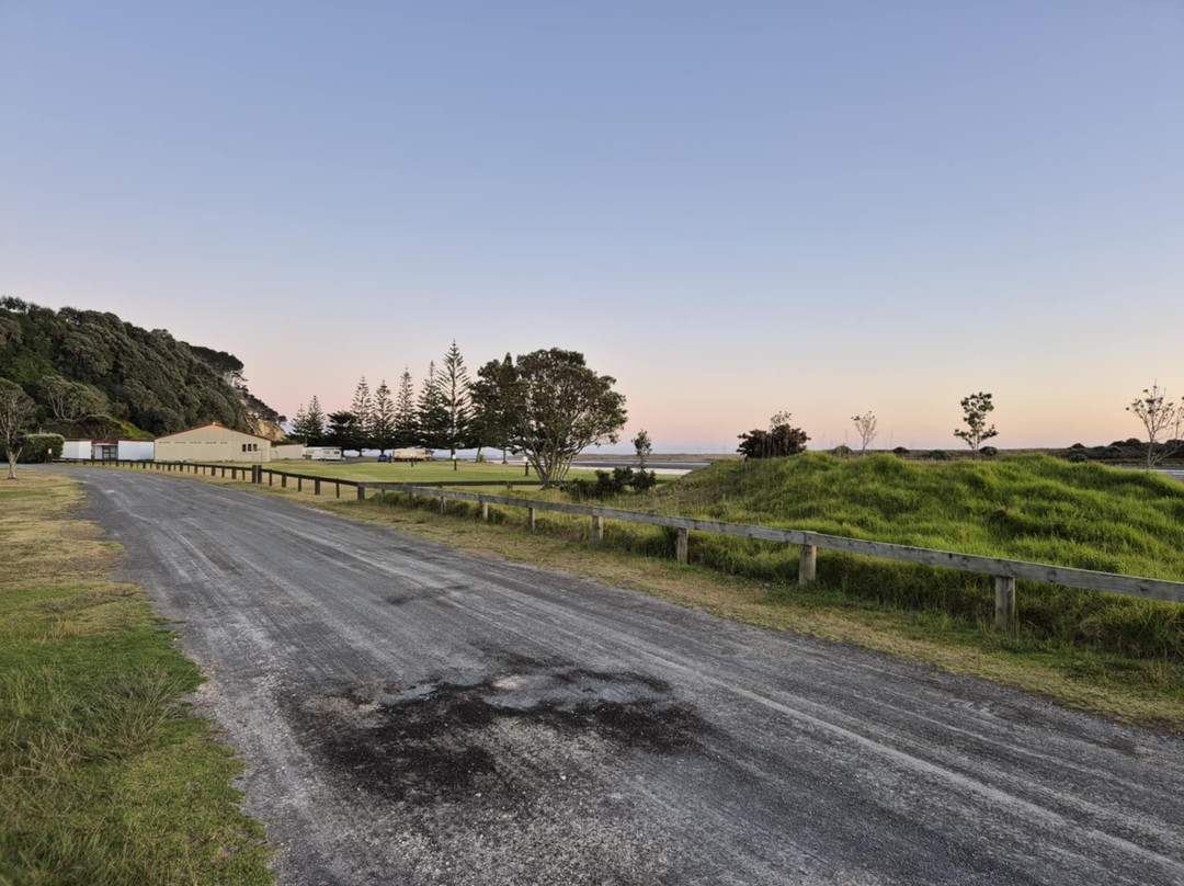 Bledisloe Holiday Park