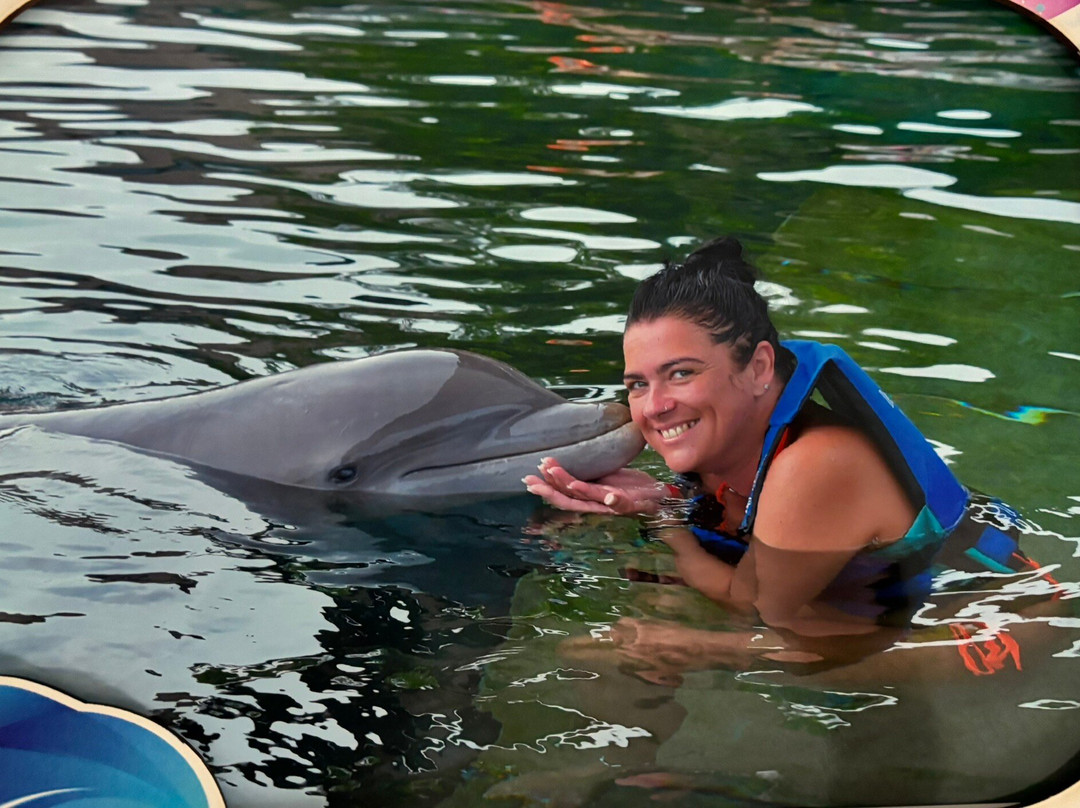 Delphinus Xcaret景点图片