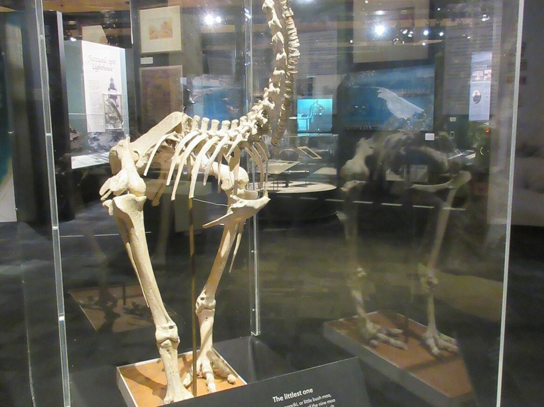 Nelson Provincial Museum Pupuri Taonga o Te Tai Ao景点图片