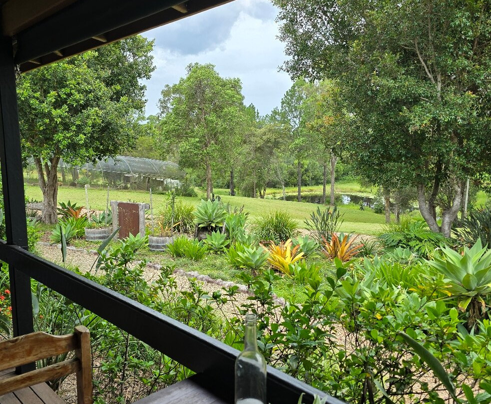 Dingo Creek Vineyard景点图片