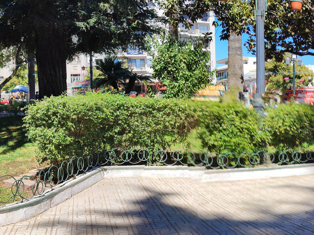 Plaza de Armas-塔尔卡必去景点