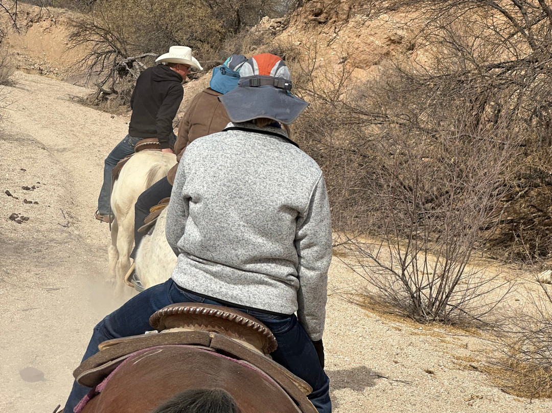 Houston's Horseback Riding-图森必去景点