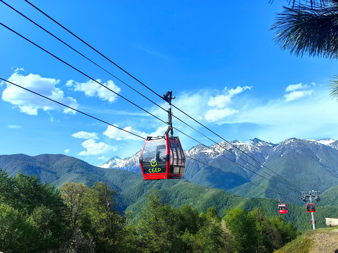 Aleksandriya Sochi Tour