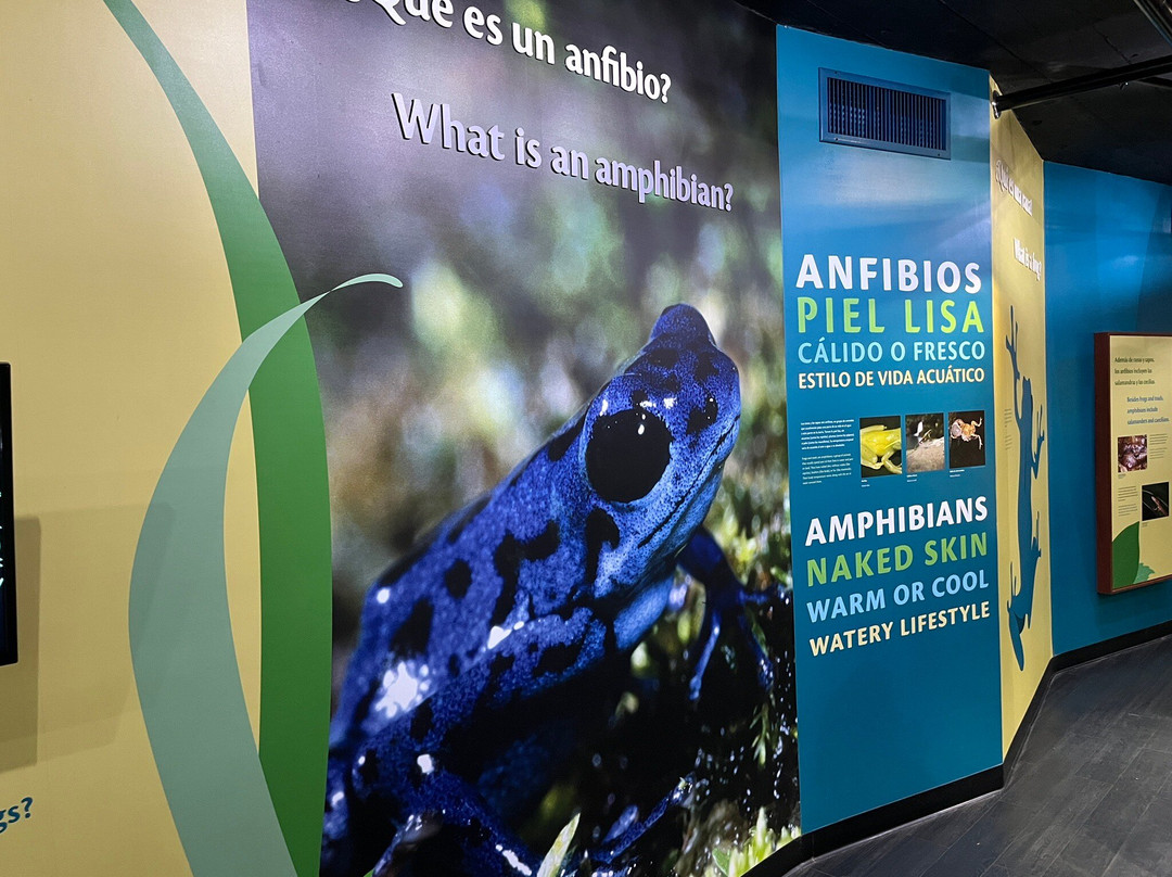 Punta Culebra Nature Center景点图片
