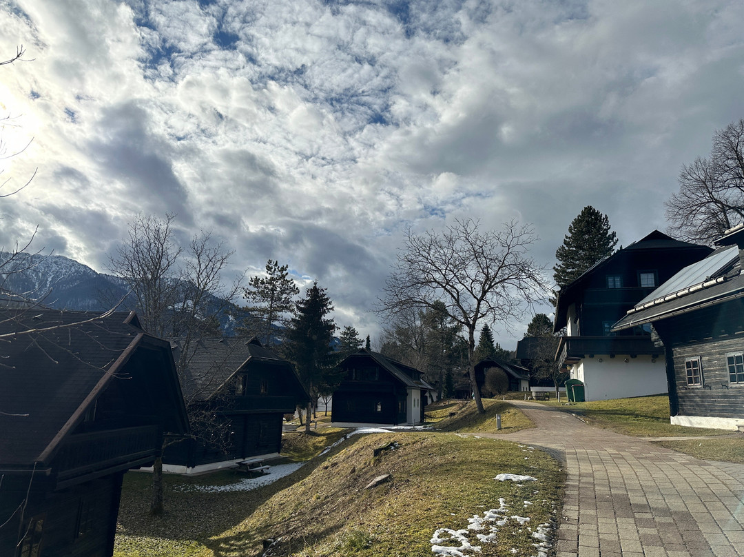 Naturel Hoteldorf Schoenleitn主图