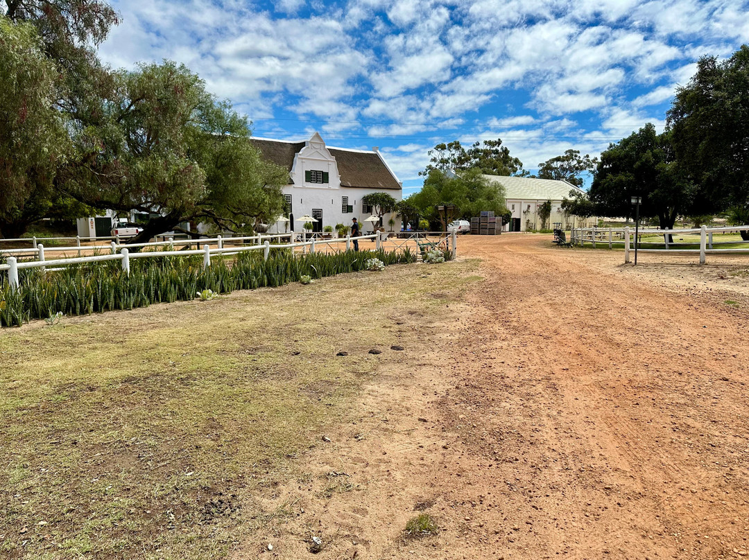 Groote Post Winery-Darling必去景点
