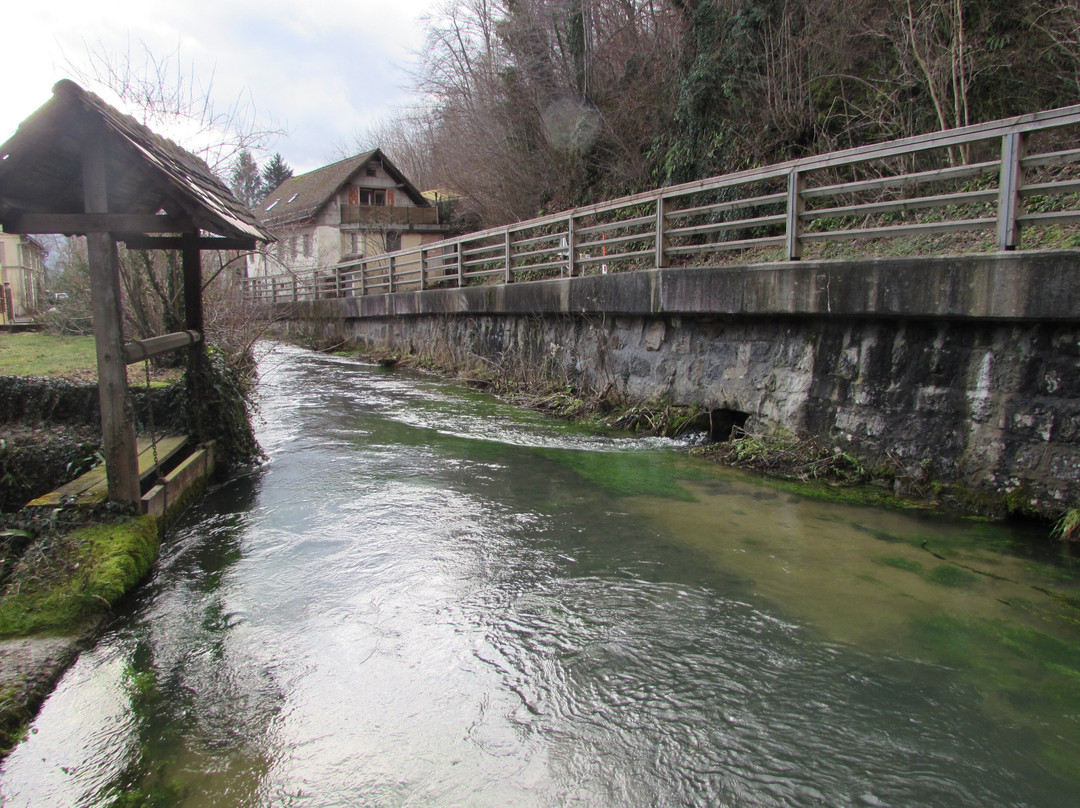 Bistra Springs-Bistra必去景点
