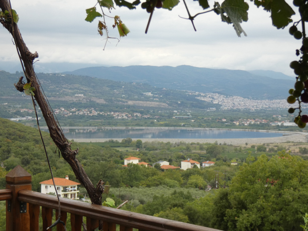 Estate Kalaitzis主图