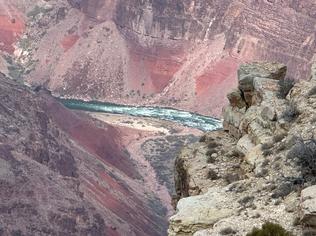 Novi Adventure Tours景点图片