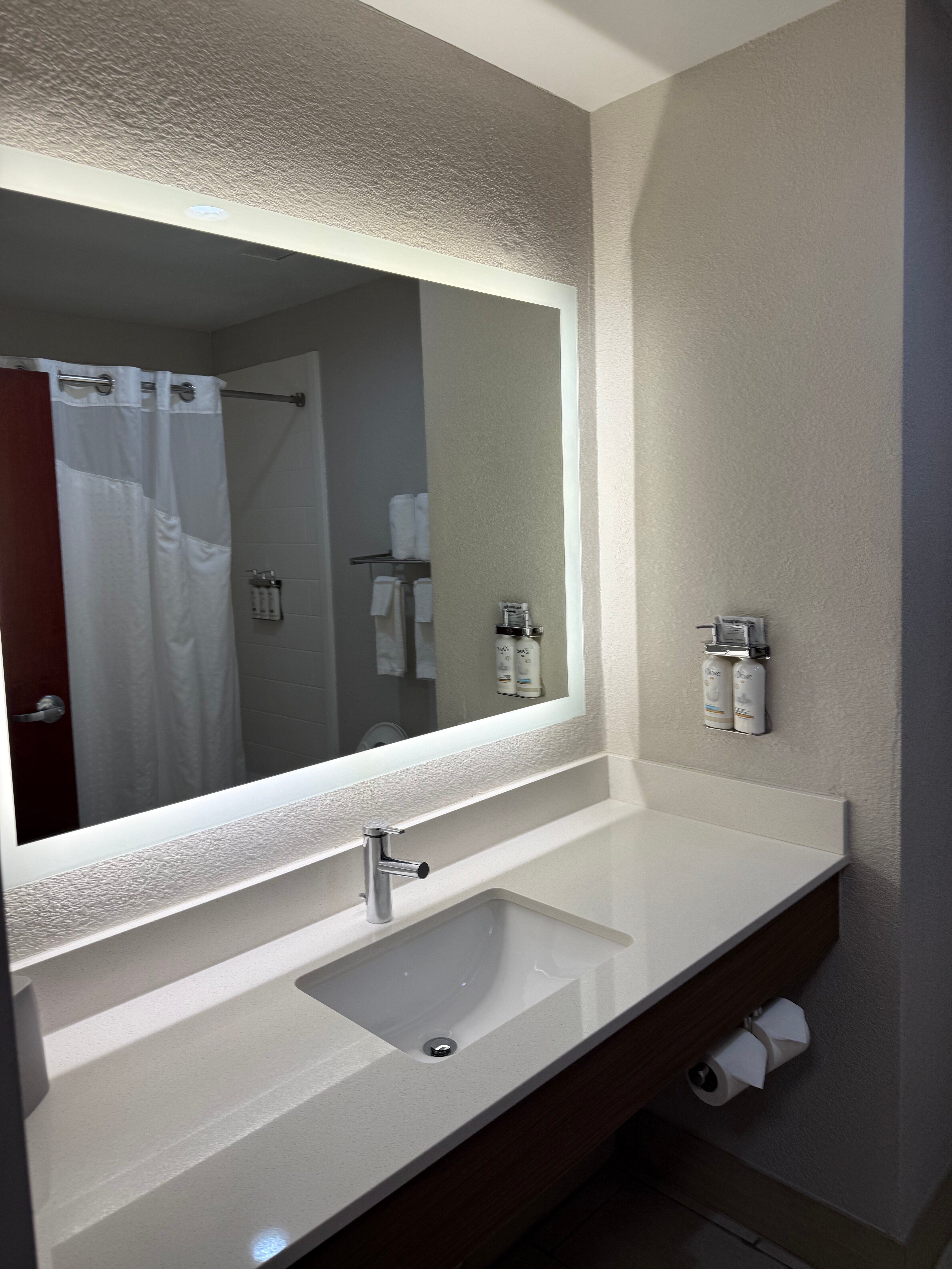 Holiday Inn Express & Suites Statesville, an IHG Hotel-浴室