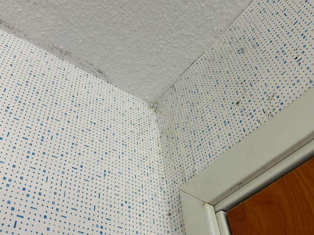 Holiday Inn Express & Suites Carson City by IHG主图