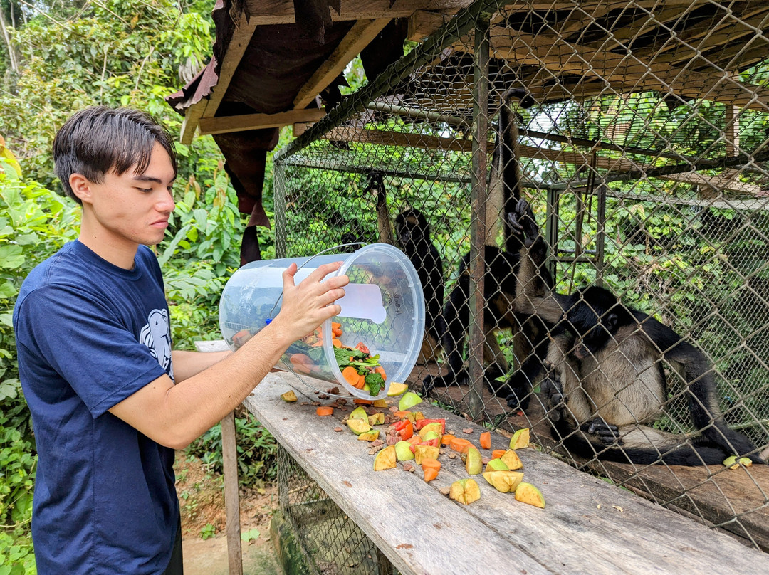 Rainforest Awareness Rescue Education Center景点图片