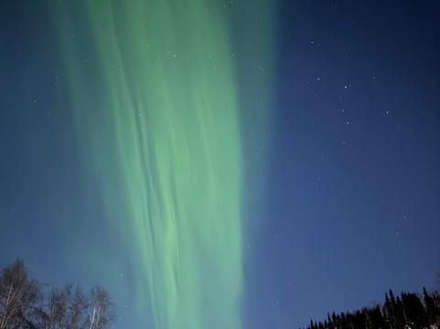 Wandering Alaska Llc-费尔班克斯必去景点