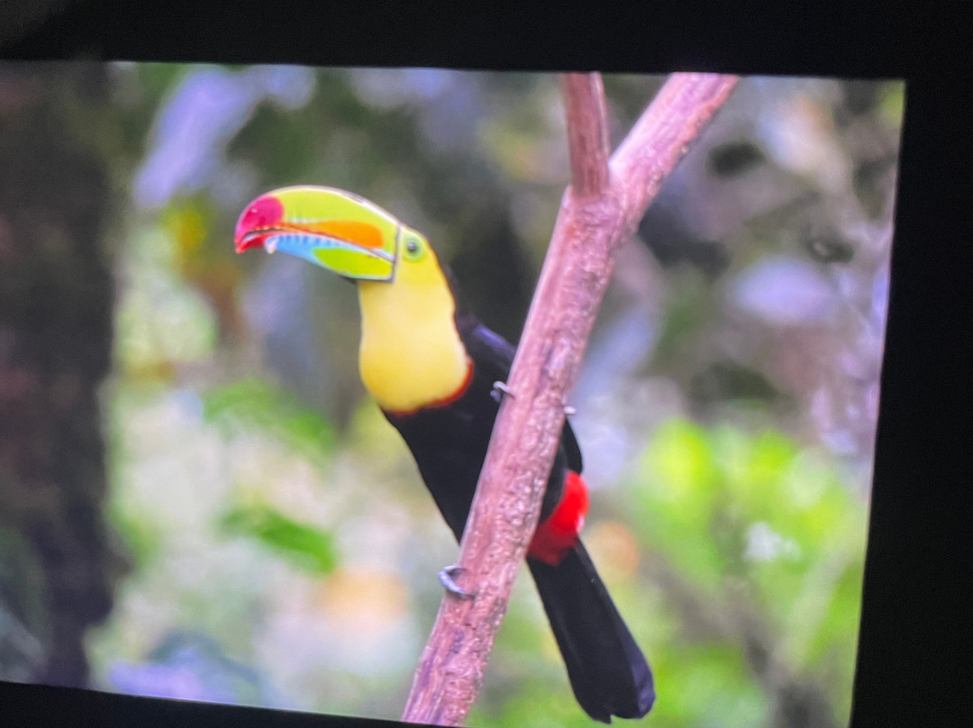 Peregrinus Expeditions景点图片