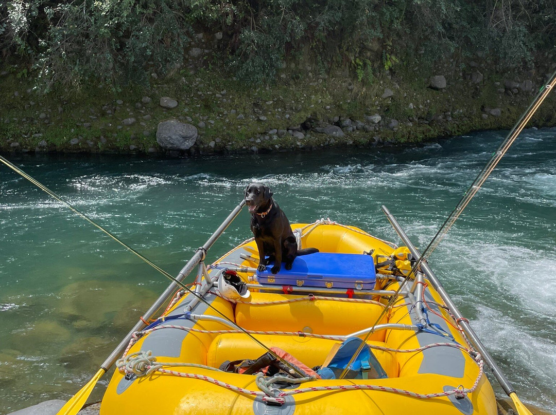 Tongariro River Rafting景点图片