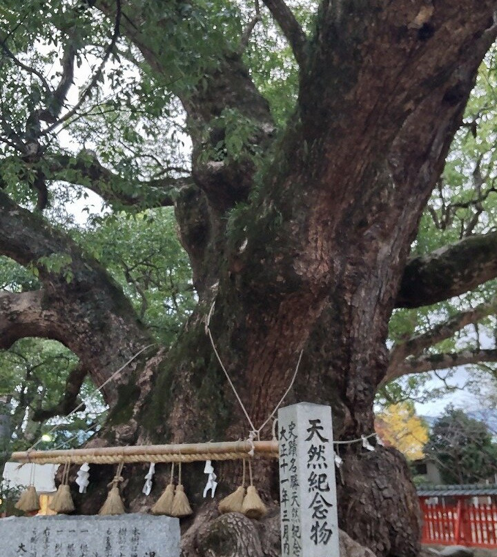 Umi Hachimangu Shrine景点图片