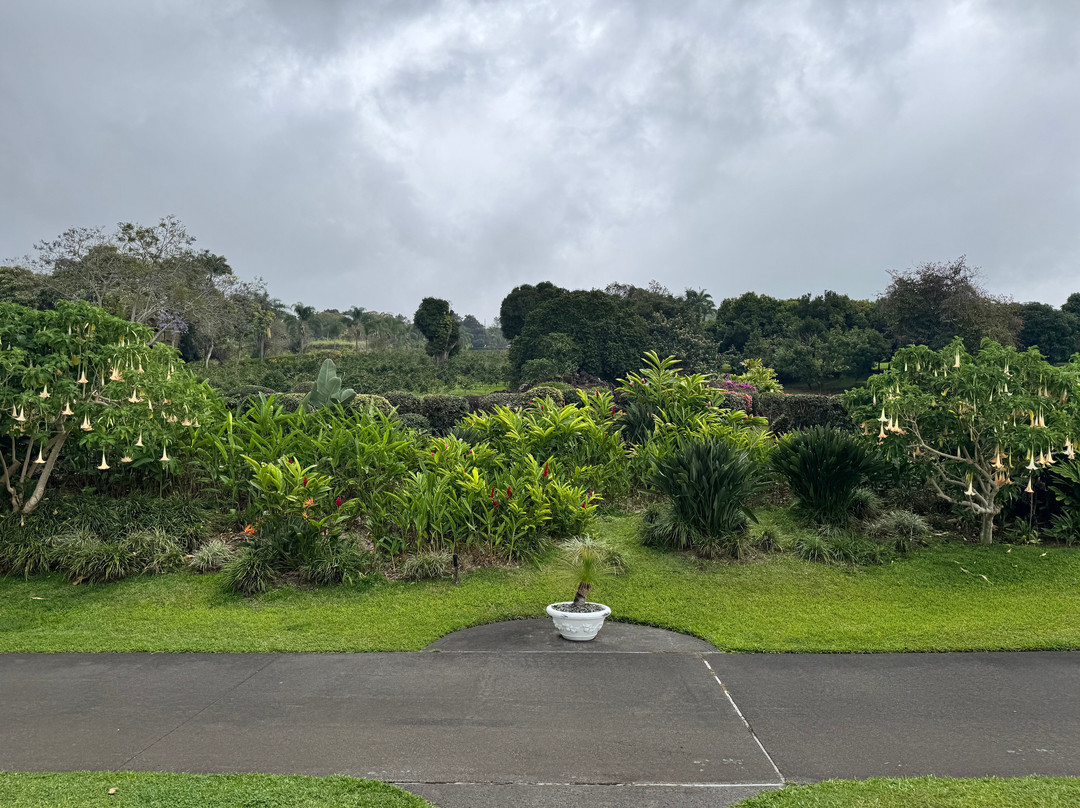 马乌卡农场-哈陆亚洛亚必去景点