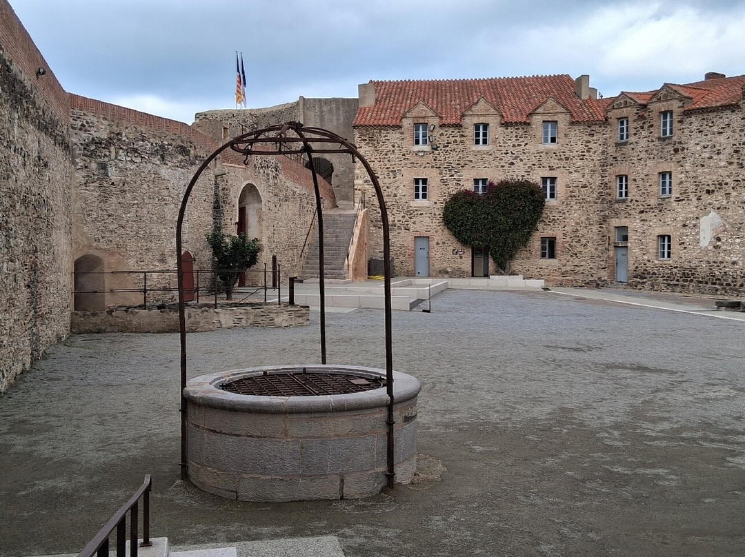 Château Royal de Collioure景点图片