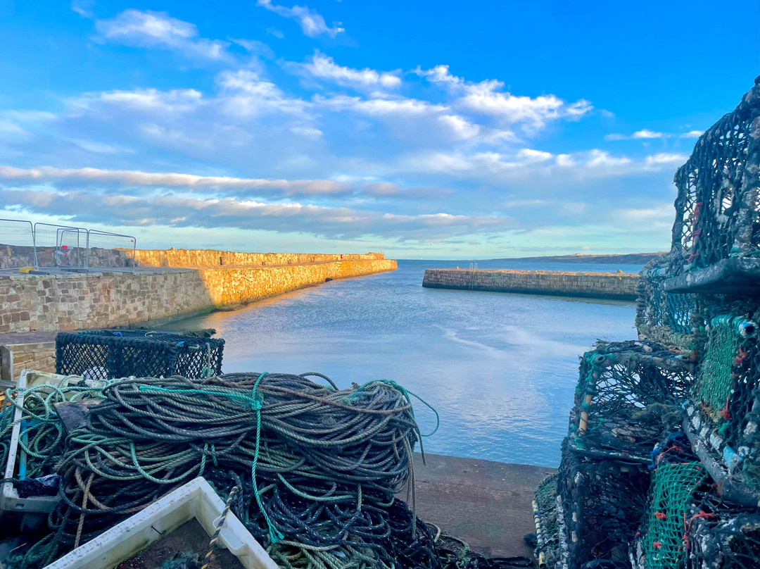 St Andrews Harbour Trust-圣安德鲁斯必去景点