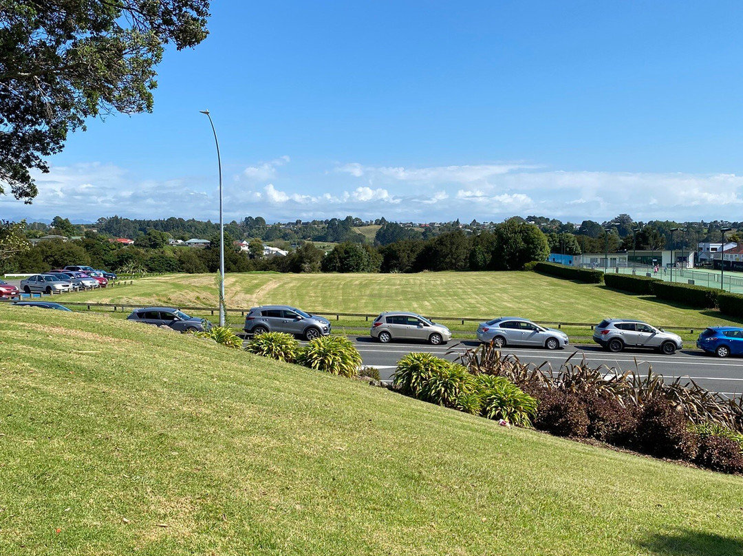 Kiwi Fruit Country Tours-陶兰加必去景点