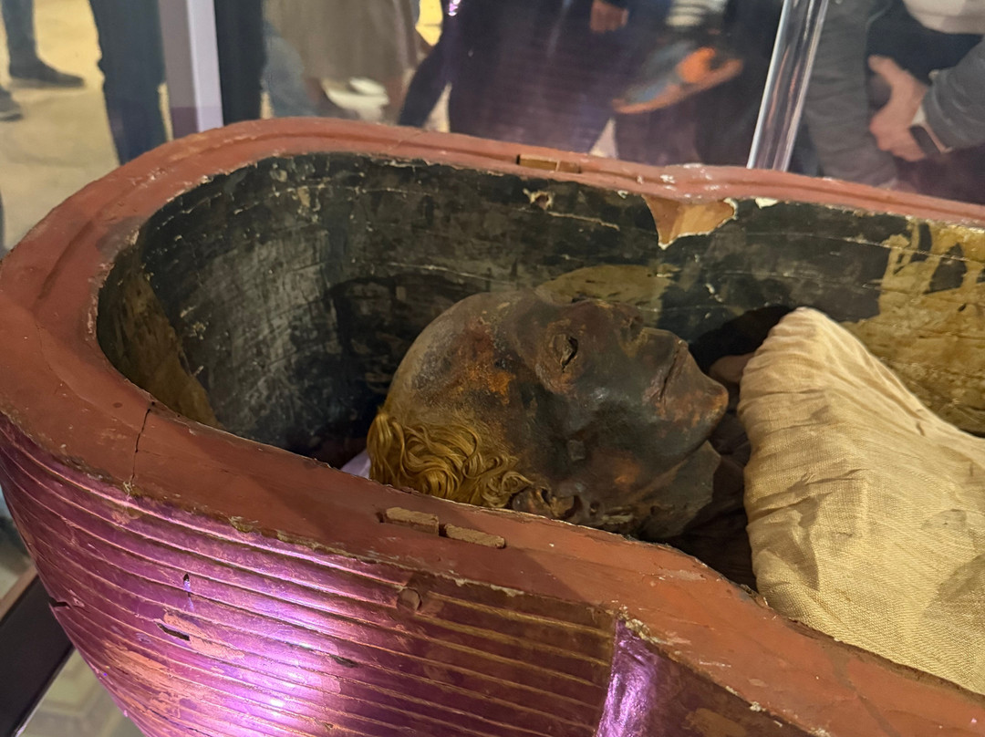 Planet Tours & Travel-开罗必去景点