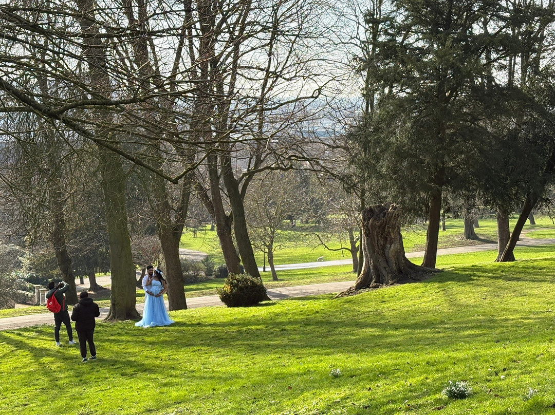 Lincoln Arboretum景点图片