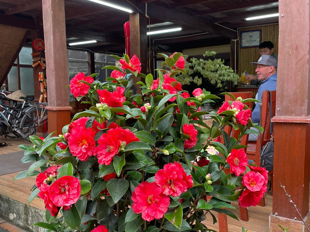 Trang An Lighthouse Homestay