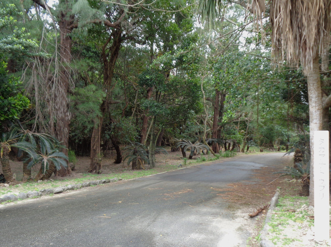 Taramayugafu Land-多良间村必去景点