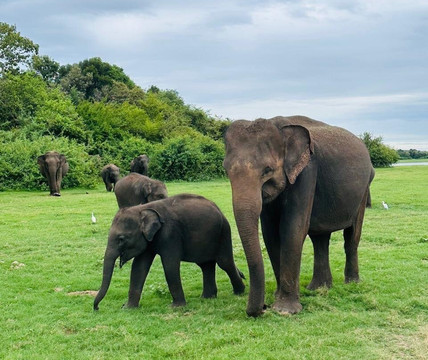Ovi Travel Guides, Sri Lanka-卡卢特勒必去景点