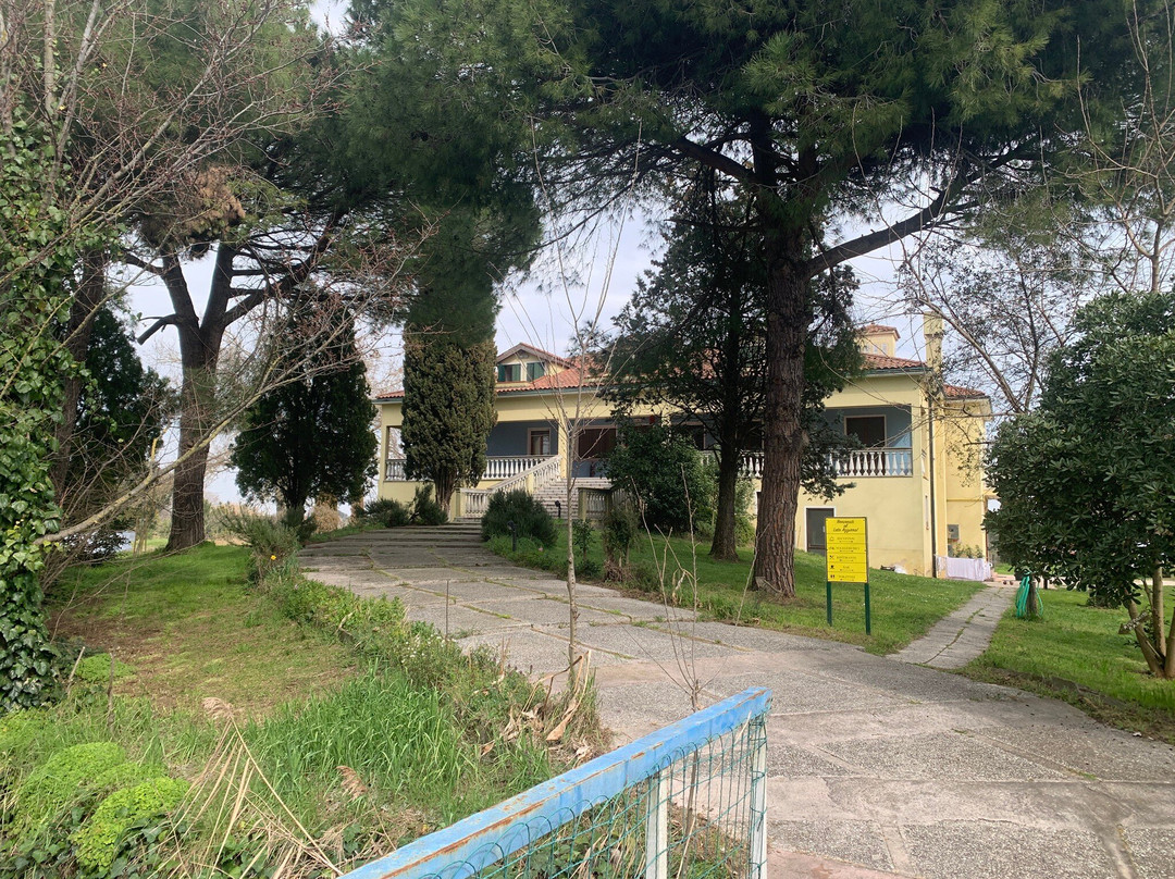 Isola di Sant'Erasmo-威尼斯必去景点