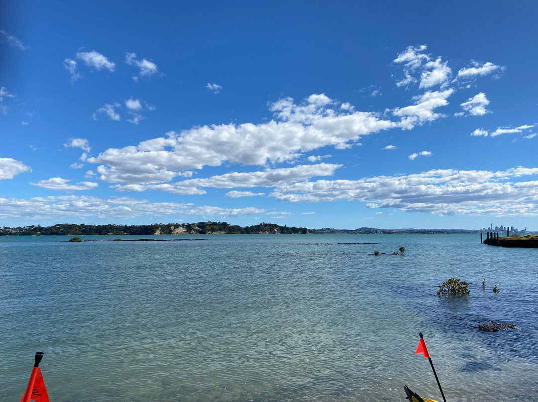 Fergs Kayaks Auckland景点图片