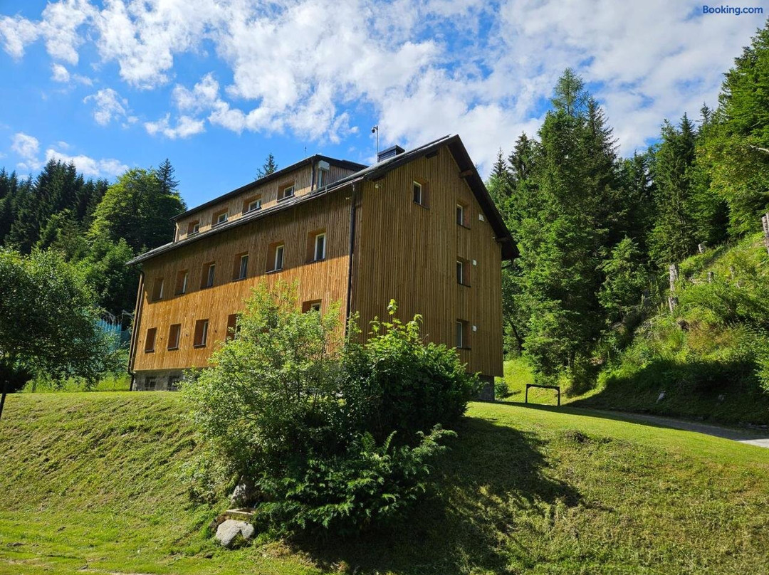 Apartments Rogla Jurgovo - Ski in Ski Out
