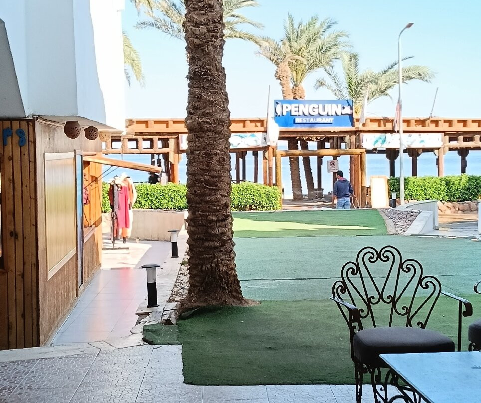 企鹅村达哈卜酒店主图