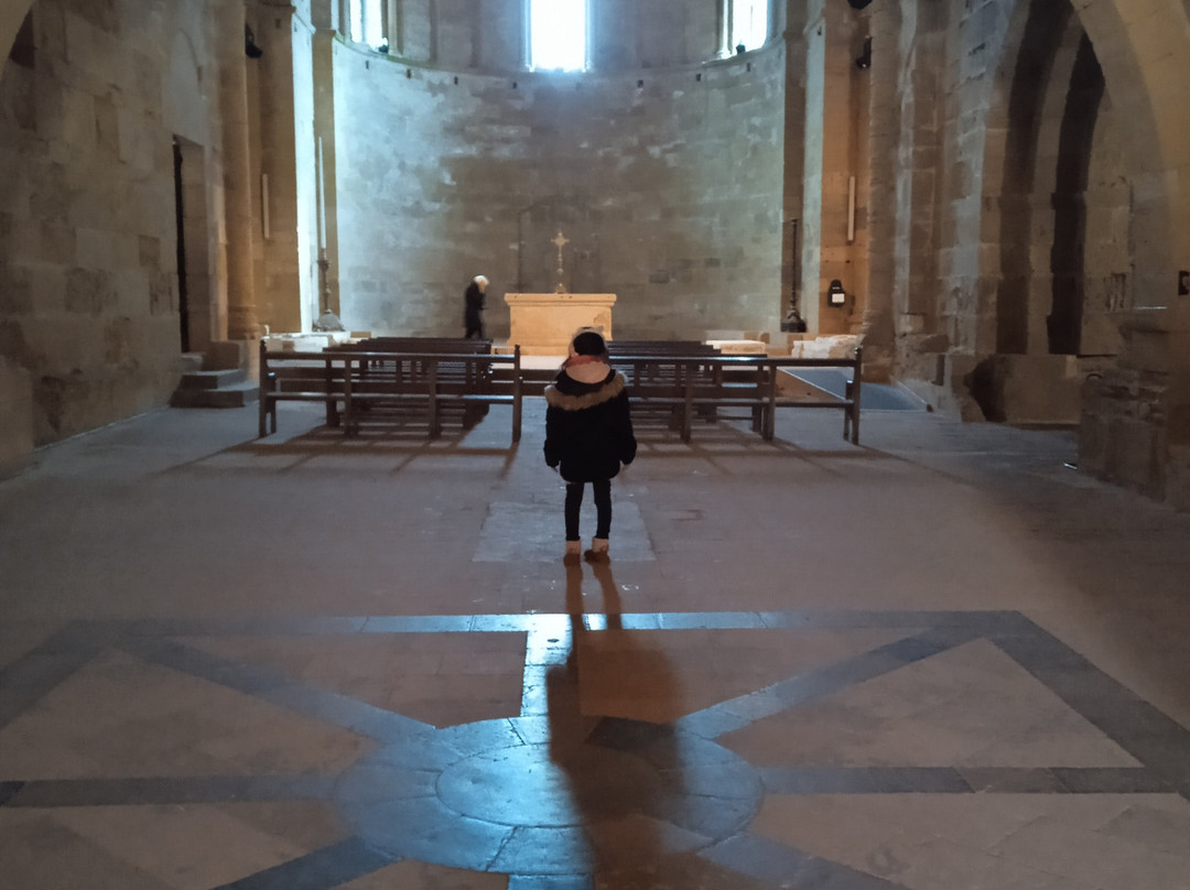 Cathédrale De Maguelone景点图片
