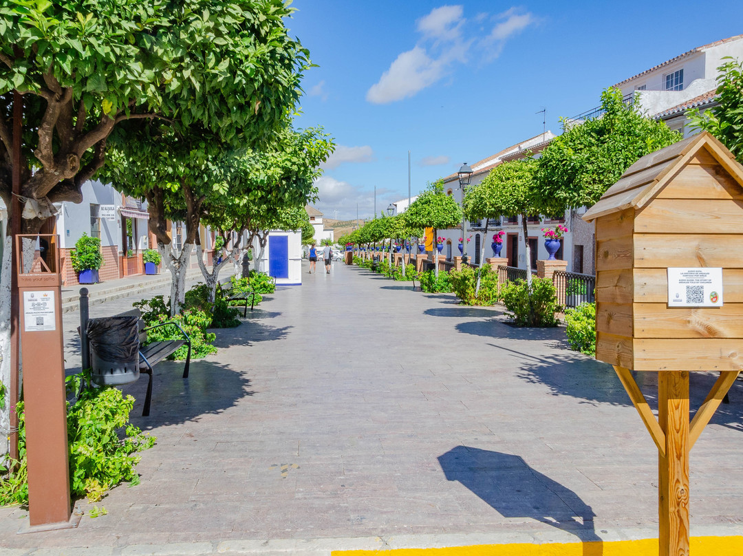 Plaza De San Isidiro景点图片