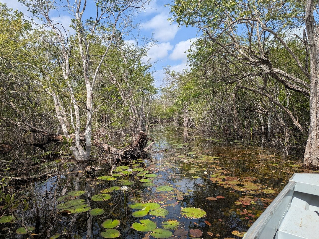 Lifer Birding Tours-El Cuyo必去景点