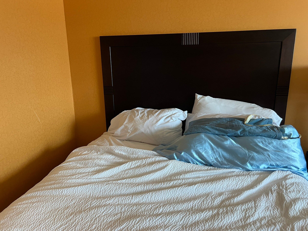 SpringHill Suites Wheeling Triadelphia Area主图