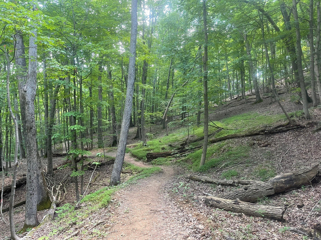 Ridenour Lake, Nitro, West Virginia