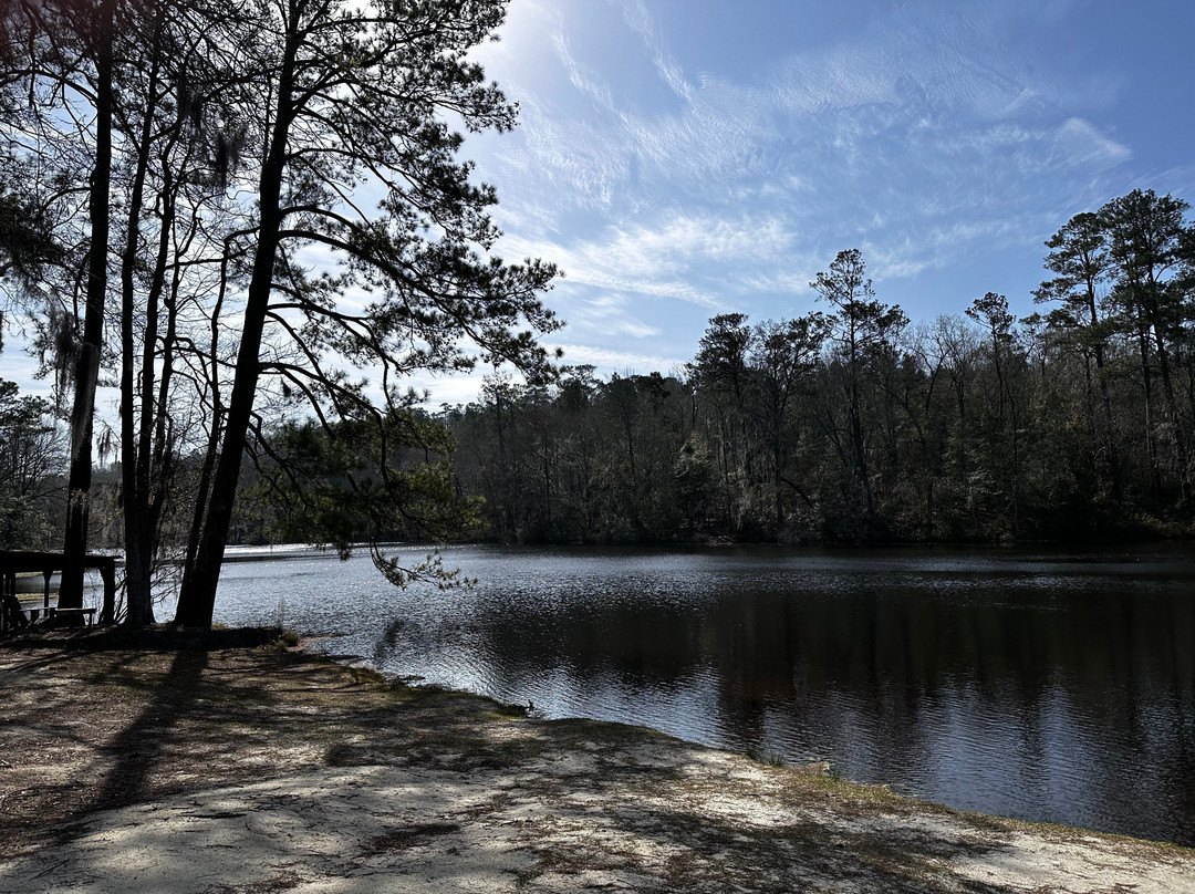 Poinsett State Park-Wedgefield必去景点