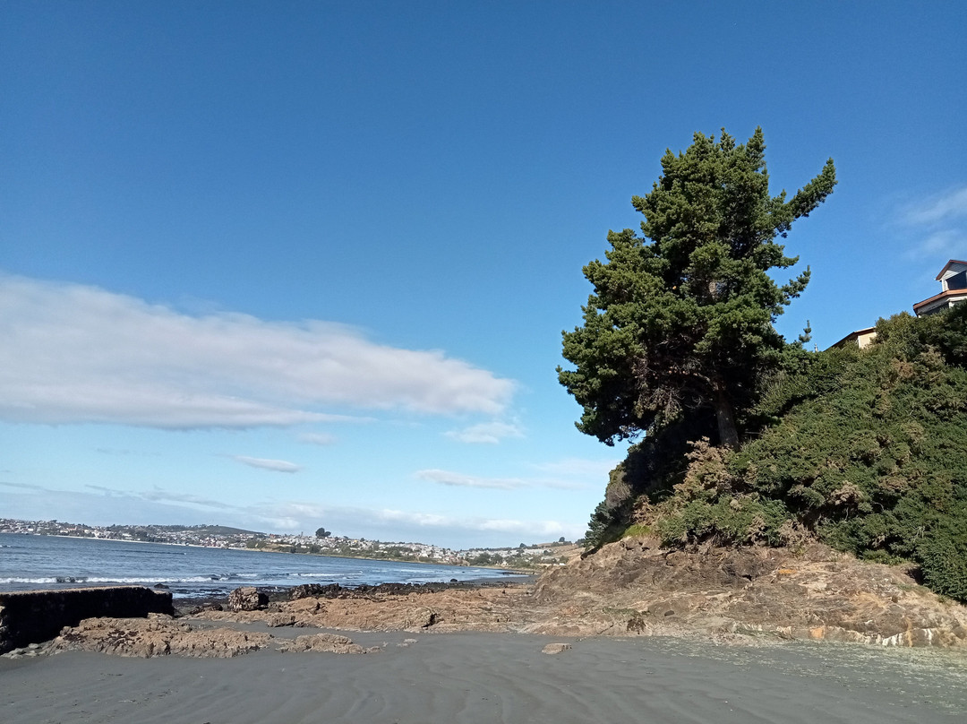 Playa Lechagua景点图片