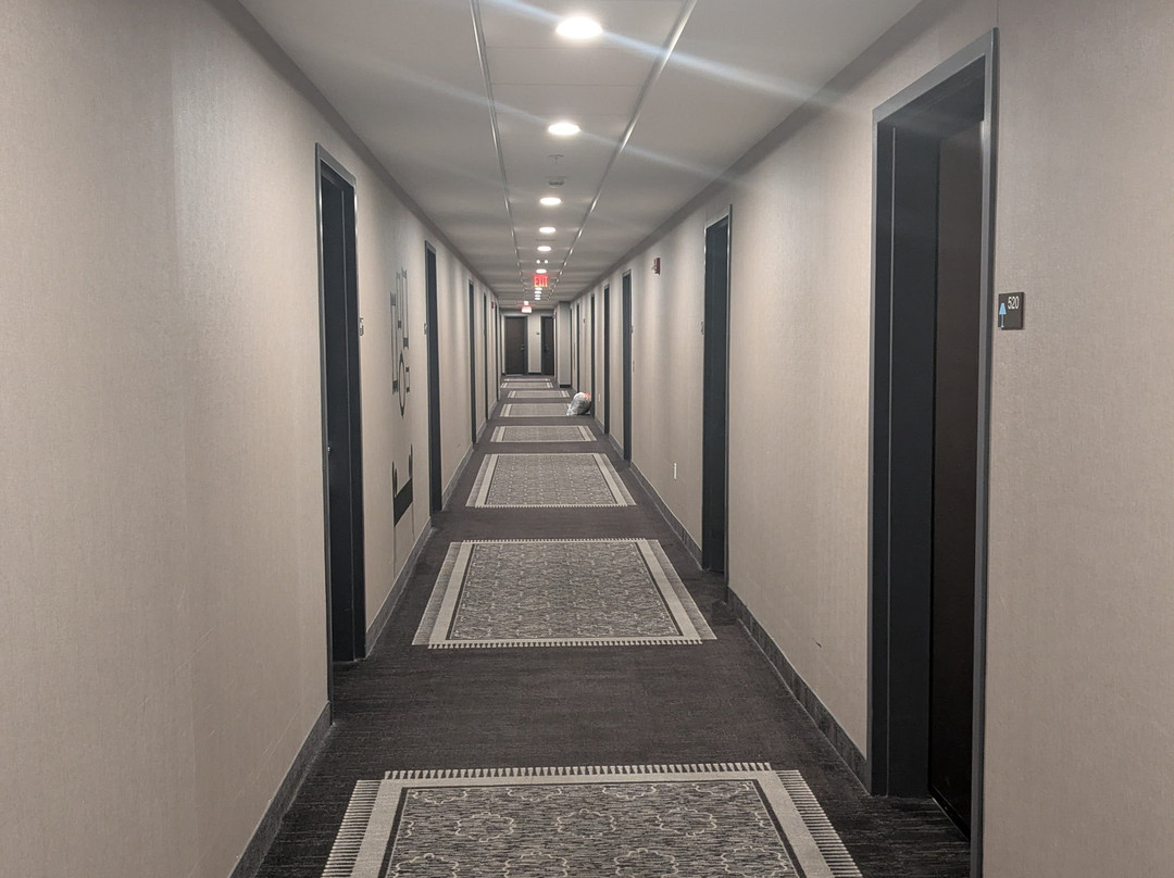 Hyatt House Pittsburgh / Bloomfield / Shadyside主图