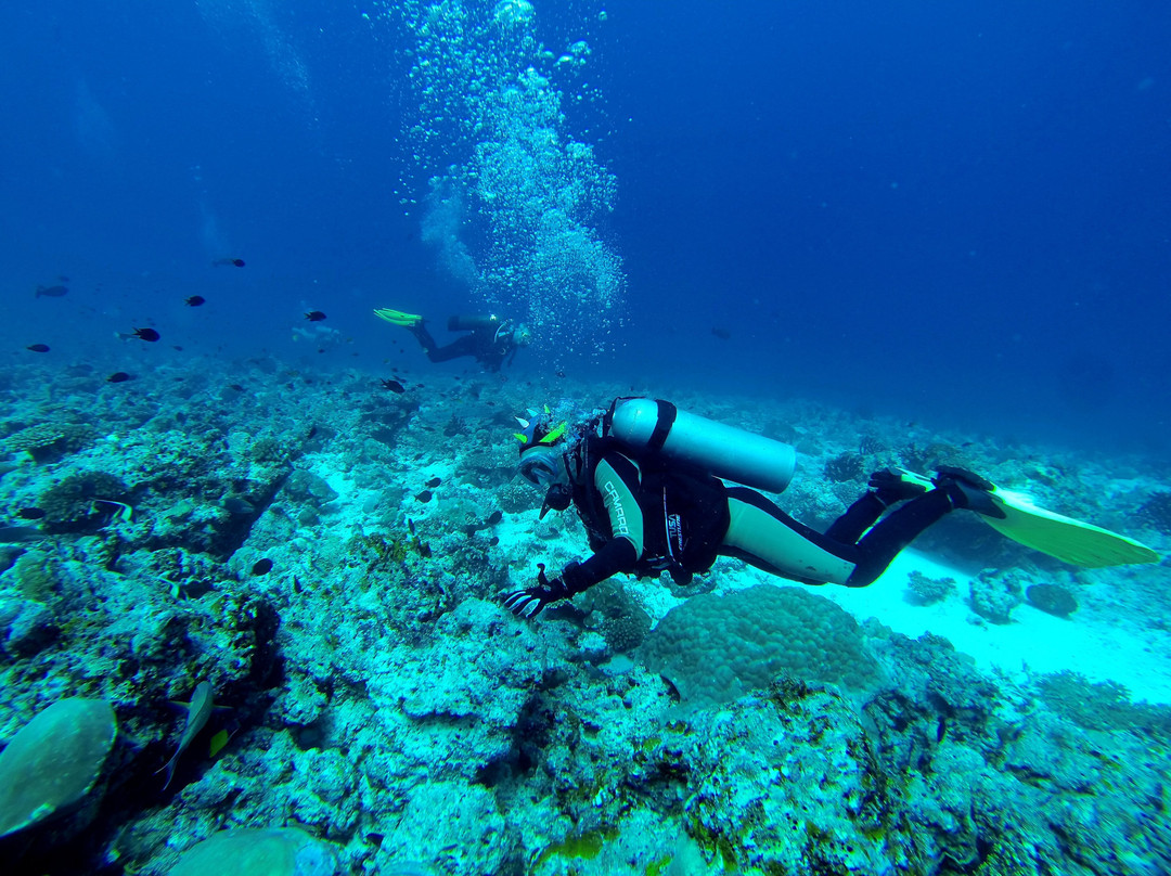 Scuba Journey-乌库拉斯必去景点