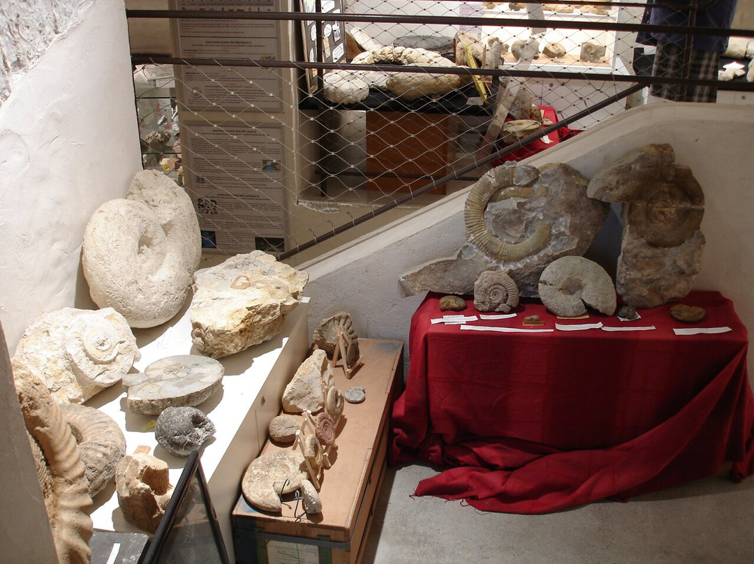Musée Fossiles et Minéraux-Bargemon必去景点