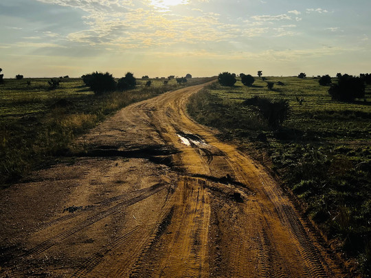 Wild Steps Safaris-恩德培必去景点