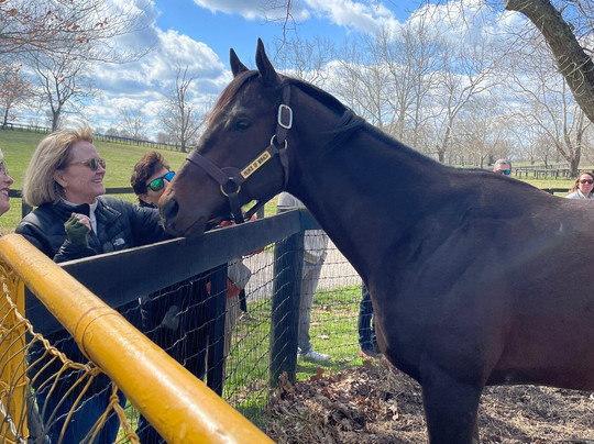 Lexington Private Tours-列克星敦必去景点