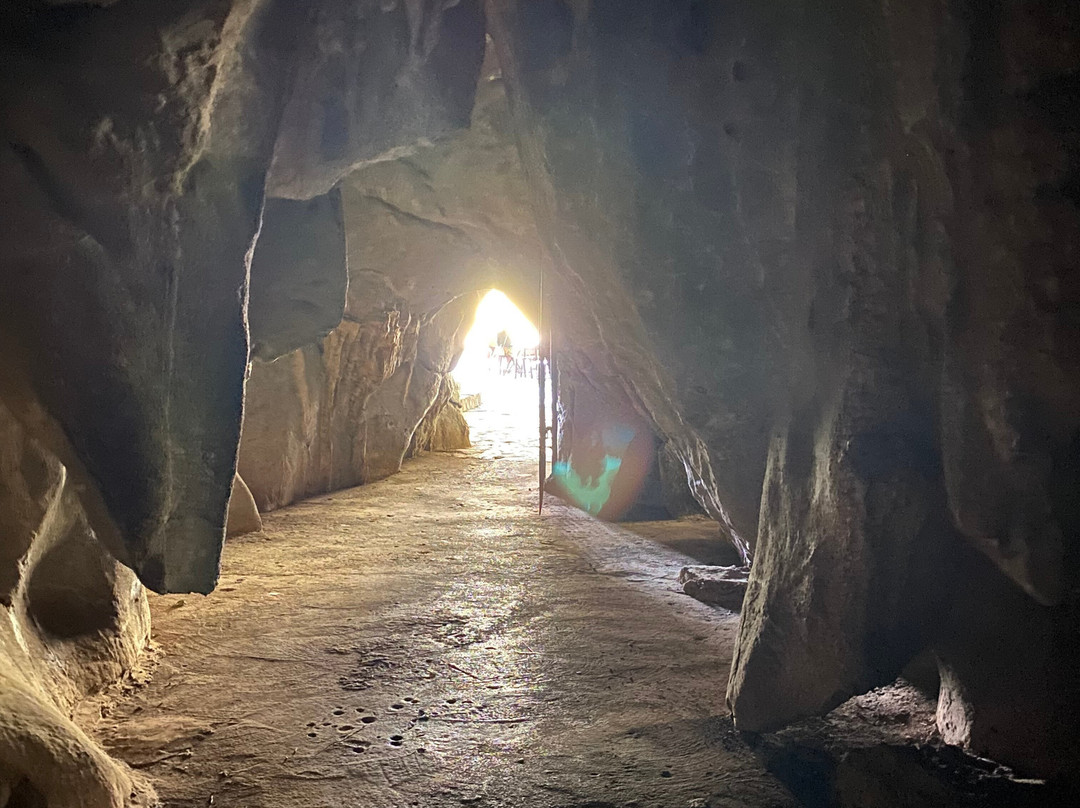 Palenque de los Cimarrones-维纳勒斯必去景点
