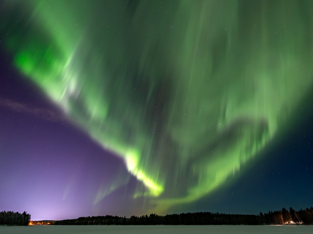 Hotelli Metsähirvas主图