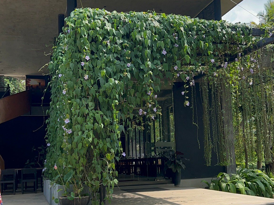 Minneriya餐馆和美食-Watergate Family Restaurant